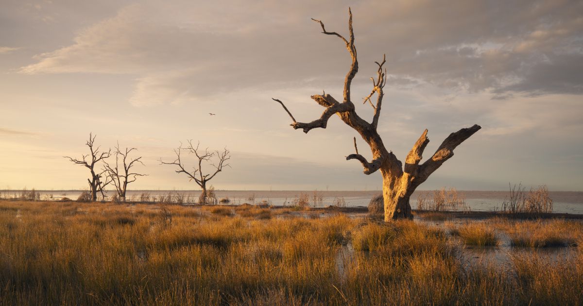 Menindee, Outback NSW things to do & more Visit NSW